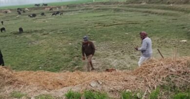 आवारा पशुओं पर कुत्तों का हमला, बजरंग दल कार्यकर्ताओं ने बचाई जान