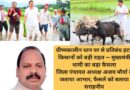 ग्रीष्मकालीन धान पर से प्रतिबंध हटा, किसानों को बड़ी राहत — मुख्यमंत्री धामी का बड़ा फैसला जिला पंचायत अध्यक्ष अजय मौर्या ने जताया आभार, फैसले को बताया सराहनीय