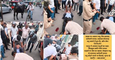 बेसहारा पशु को बचाने के प्रयास में सिडकुल कर्मचारी घायल, पैर टूटा — प्रशासन की अनदेखी पर उठे सवाल 