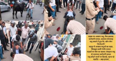 बेसहारा पशु को बचाने के प्रयास में सिडकुल कर्मचारी घायल, पैर टूटा — प्रशासन की अनदेखी पर उठे सवाल 