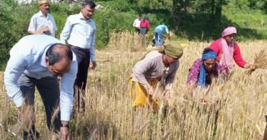 कनलगांव में डीएम मनीष कुमार ने की गेहूं फसल की क्रॉप कटिंग