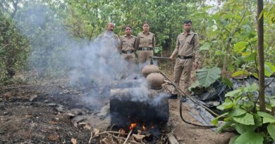 विशेष प्रवर्तन अभियान में आबकारी विभाग की बड़ी कार्रवाई, 32 लीटर कच्ची शराब बरामद, 3500 किलो लहन नष्ट