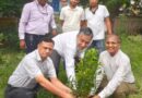 विश्व पर्यावरण दिवस पर सीएमओ कार्यालय में हुआ पौधरोपण, पर्यावरण संरक्षण का लिया संकल्प