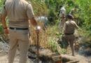 आबकारी विभाग की बड़ी कार्रवाई, 65 लीटर कच्ची शराब बरामद; 5000 किलो लहन नष्ट