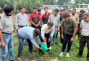किच्छा बाईपास पर एलएससी इन्फ्राटेक ने किया वृक्षारोपण, पर्यावरण संरक्षण का लिया संकल्प