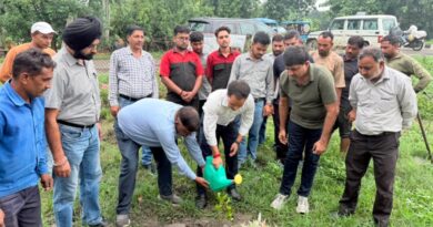किच्छा बाईपास पर एलएससी इन्फ्राटेक ने किया वृक्षारोपण, पर्यावरण संरक्षण का लिया संकल्प