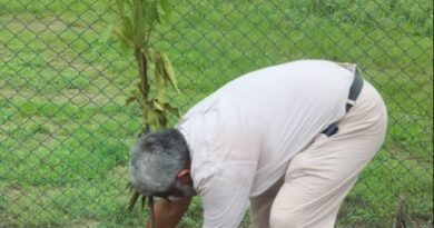 हरेला पर्व पर सरदार भगत सिंह राजकीय स्नातकोत्तर महाविद्यालय में हुआ बृहद वृक्षारोपण, 100 से अधिक फलदार पौधे लगाए
