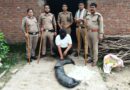 उधम सिंह नगर में आबकारी विभाग की बड़ी कार्रवाई, 180 लीटर कच्ची शराब बरामद, 9 हजार किग्रा लहन नष्ट