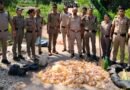 काशीपुर में आबकारी विभाग की बड़ी कार्रवाई, 240 लीटर अवैध कच्ची शराब बरामद