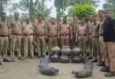 6 हजार किलो लहन नष्ट, 140 लीटर कच्ची शराब बरामद; आबकारी अधिनियम में मुकदमा दर्ज