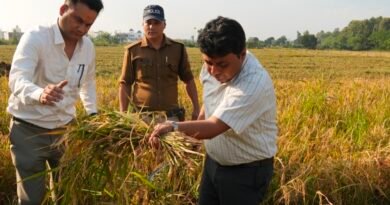 जिलाधिकारी और तहसीलदार ने खेत में पहुंचकर की धान की क्रॉप कटिंग, 40 क्विंटल प्रति हेक्टेयर उपज का अनुमान