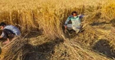 डिजिटल क्रॉप सर्वे एवं फार्मर रजिस्ट्री को लेकर किसानों से सहयोग की अपील